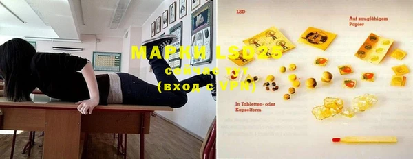 apvp Магас