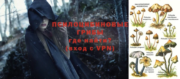 apvp Магас
