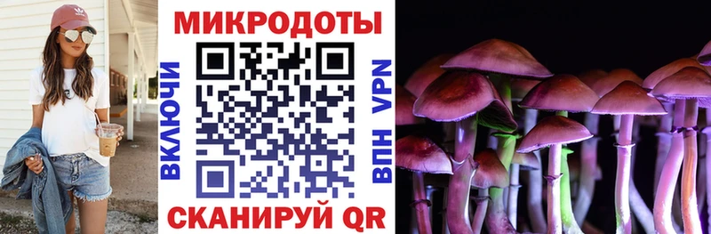 Галлюциногенные грибы Psilocybine cubensis  Суровикино 